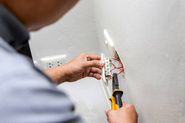 Best Electrician for Home Renovation  in Necedah, WI