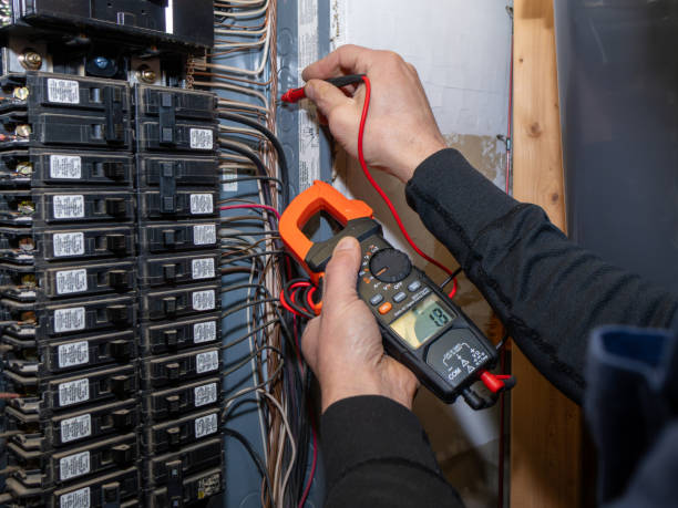 Best Licensed Electrician  in Necedah, WI