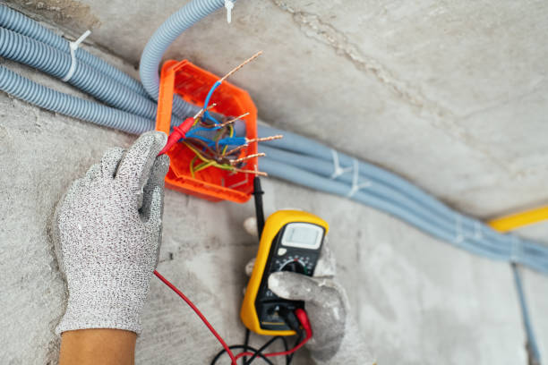 Best Outdoor Lighting Installation  in Necedah, WI
